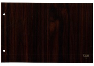 F0106