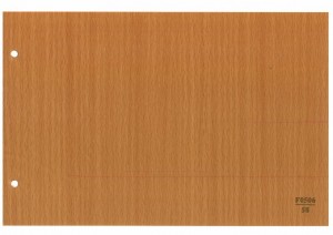 F0506