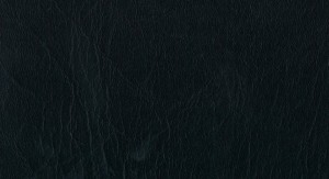 Artificial Leather 159 No.30