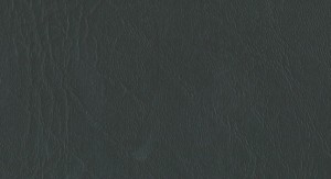 Artificial Leather 159 No.38