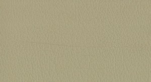 Emboss CH2 No.12
