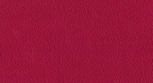 Emboss P150-CH2 No.9