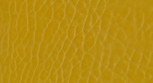 Emboss V029-E029 No.55