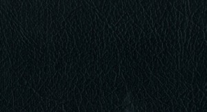 No.19 Emboss No.F748