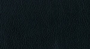 No.1 Emboss No.F156