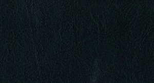 No.66 Emboss No.H055