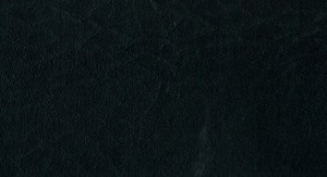 No.67 Emboss No.H277