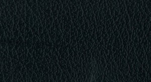 No.79 Emboss No.CH2