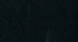 No.85 Emboss No.F238