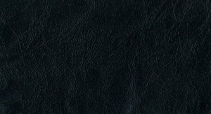 No.94 Emboss No.H775