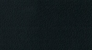 No.125 Emboss No.F021