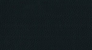 No.178 Emboss No.L01