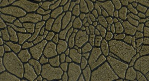 Emboss GGDDF5 No.38