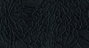 Emboss GGDDF5 No.42