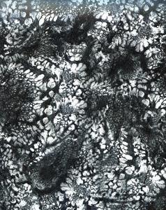 V069