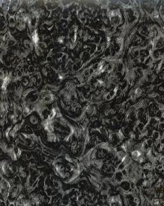 V093